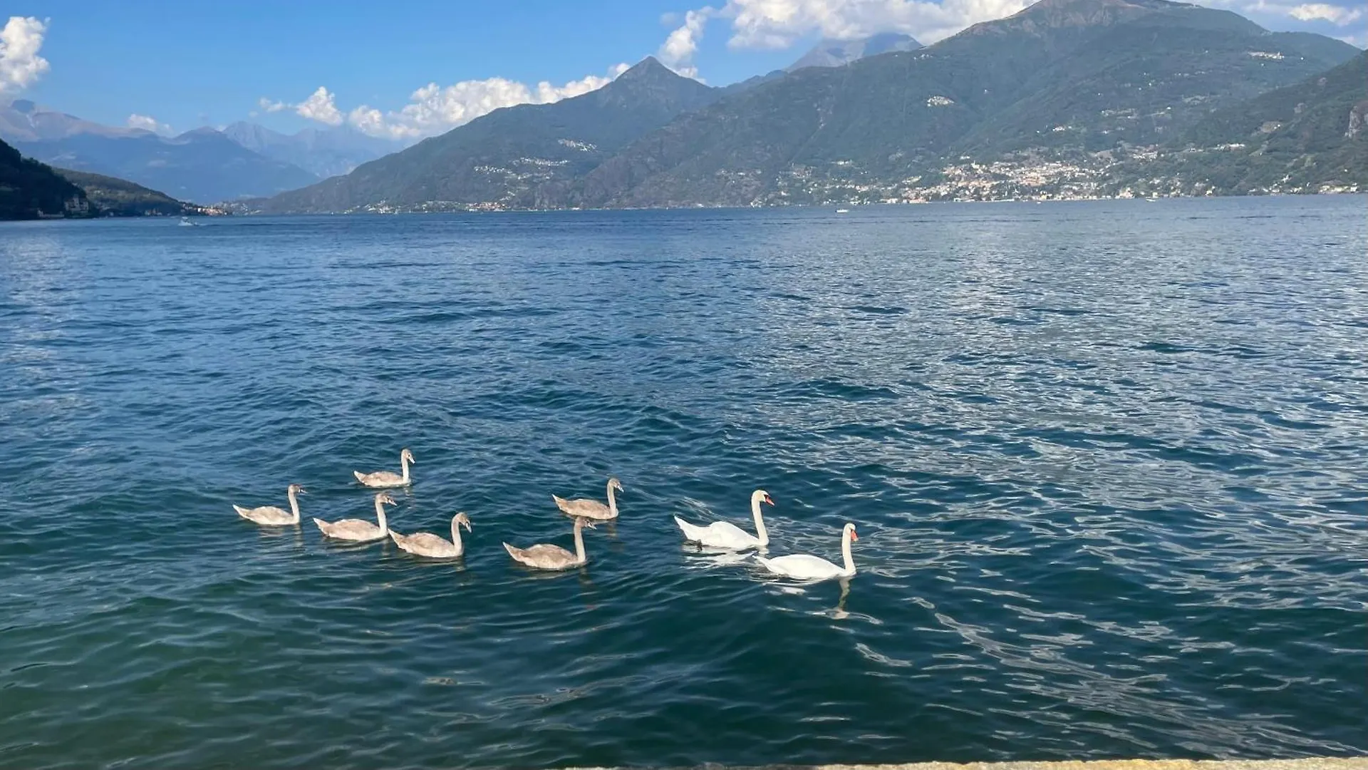 Апартаменты Casa Del Cerbiatto, Lake Como Area Кастильоне-д'Интельви